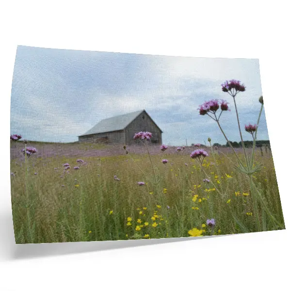 Poster country barn with purple and yellow meadow flowers