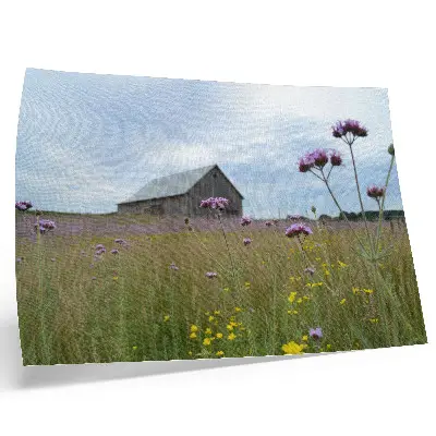 Poster country barn with purple and yellow meadow flowers