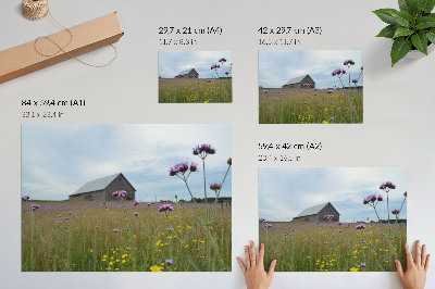 Poster Country barn purple and yellow flowers meadow