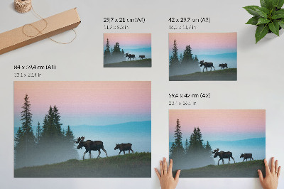 Poster Moose in the morning against the background of fog and trees