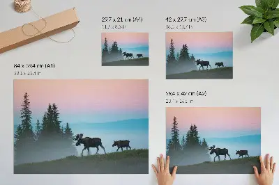 Poster moose in the morning fog with trees