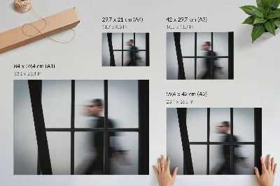 Decorative canvas print Black silhouette behind a glass frame, gray minimalism