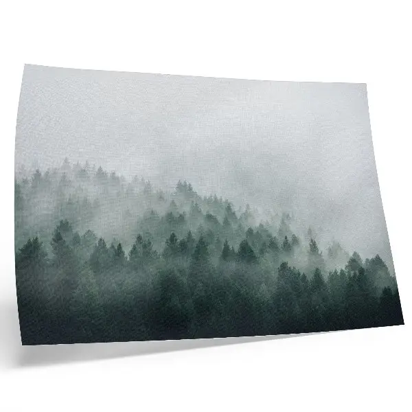 Misty forests poster exuding peace and mystery