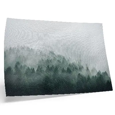 Misty forests poster exuding peace and mystery
