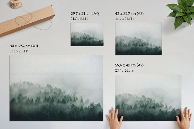 Poster Misty forests exuding peace and mystery