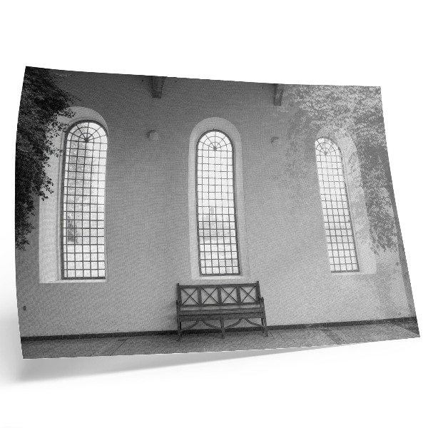 Decorative canvas print Minimalist interior with windows and plants