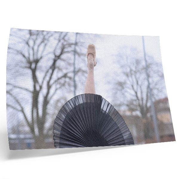 Decorative canvas print Ballet, subtlety, harmony, local atmosphere