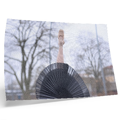 Decorative canvas print Ballet, subtlety, harmony, local atmosphere