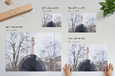 Decorative canvas print Ballet, subtlety, harmony, local atmosphere