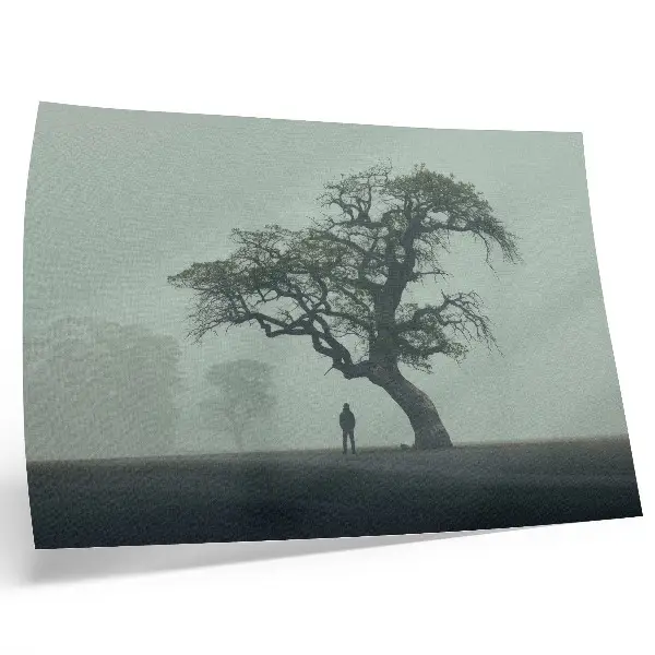 Photo canvas lonely tree in a dark foggy silhouette atmosphere