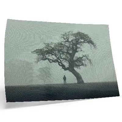 Photo canvas lonely tree in a dark foggy silhouette atmosphere