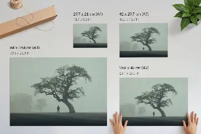 Photo canvas lonely tree in a dark foggy silhouette atmosphere
