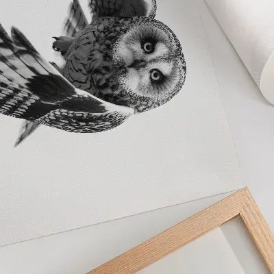 Owl in flight poster featuring a portrait of unique elegance and a peaceful atmosphere
