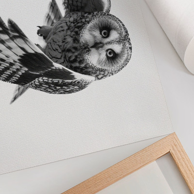 Poster Portrait of an owl in flight, unique elegance, peaceful atmosphere