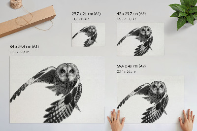 Poster Portrait of an owl in flight, unique elegance, peaceful atmosphere