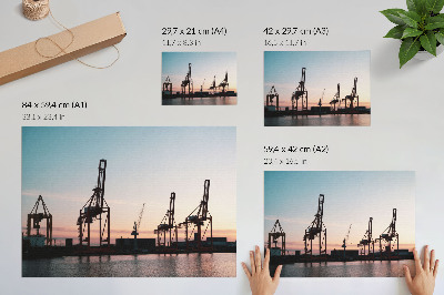 Photo canvas Cranes in the port at sunset