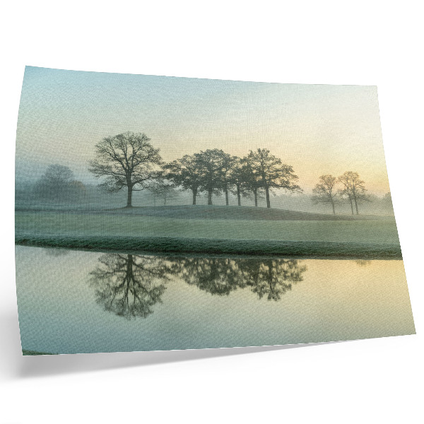 Photo canvas Calm water surface, reflection of trees, soft fog