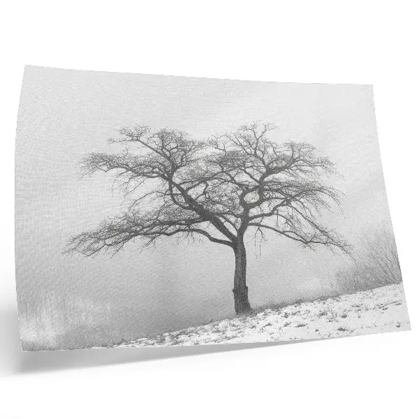 Decorative canvas print lonely tree in winter with a minimalist aesthetic