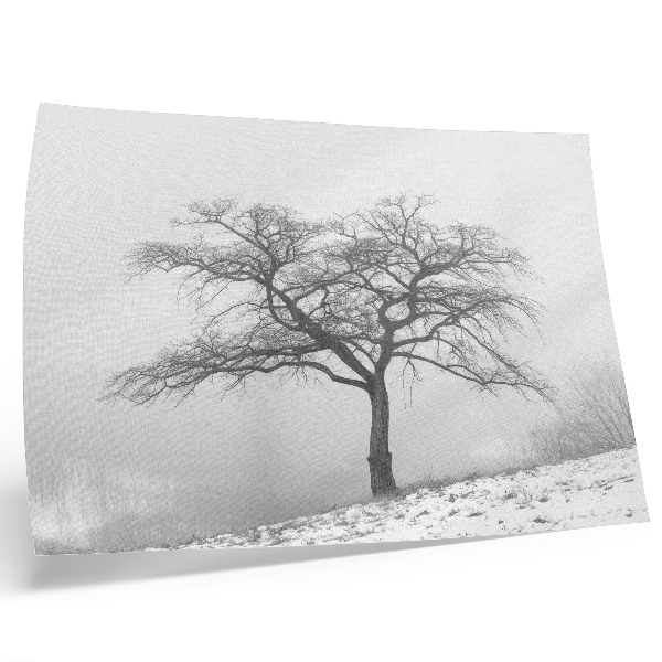 Decorative canvas print Lonely tree winter peace minimalism harmony