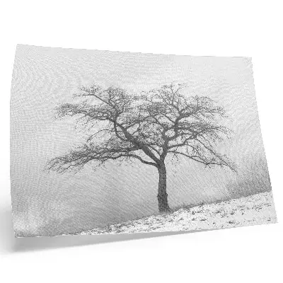 Decorative canvas print lonely tree in winter with a minimalist aesthetic