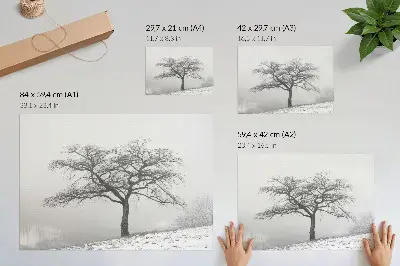 Decorative canvas print lonely tree in winter with a minimalist aesthetic