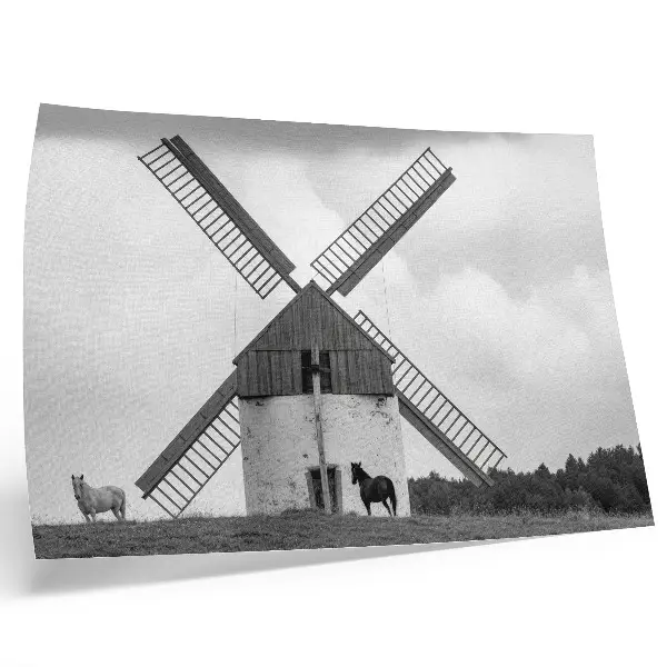Decorative canvas print featuring a black and white windmill in a field with horses