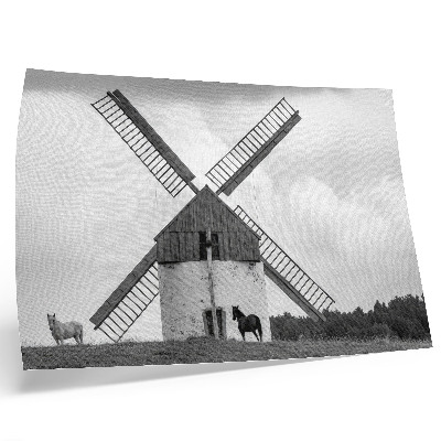Decorative canvas print A black and white windmill in a field with horses
