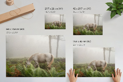 Poster A horse against a background of ferns in a misty forest