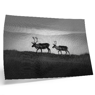 Photo canvas Reindeer on a hill minimalist composition