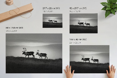 Photo canvas Reindeer on a hill minimalist composition