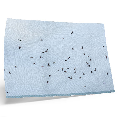 Decorative canvas print A flock of birds over the blue sea