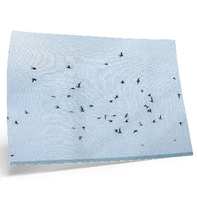 Decorative canvas print featuring a flock of birds over the blue sea
