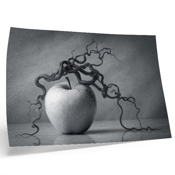 Photo canvas The contrast of the apple and the branch is a harmonious monochromatic