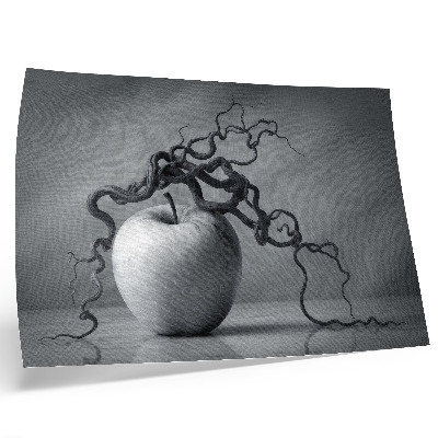 Photo canvas The contrast of the apple and the branch is a harmonious monochromatic