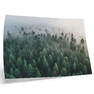 Poster Green forest in the fog, atmospheric and mysterious