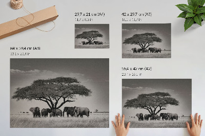 Photo canvas Elephants under a tree in the African savannah