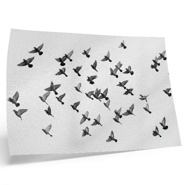 Poster Birds in Flight Elegant Black and White Harmonies