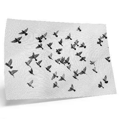 Poster Birds in Flight Elegant Black and White Harmonies