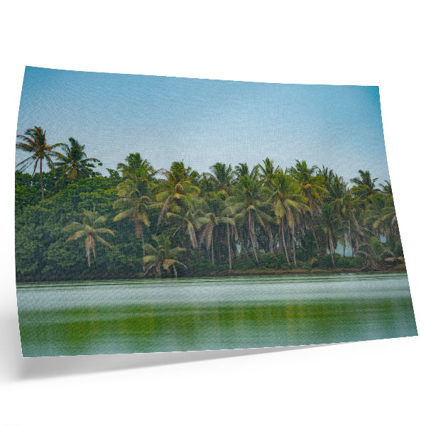 Poster Tropical palms, calm water, harmonious sky