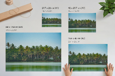 Poster Tropical palms, calm water, harmonious sky