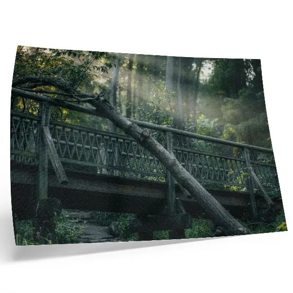 Poster a wooden bridge surrounded by greenery and sunlight