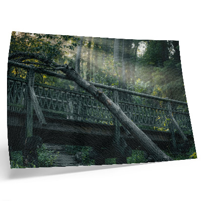 Poster A wooden bridge among greenery and sunlight