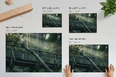 Poster a wooden bridge surrounded by greenery and sunlight
