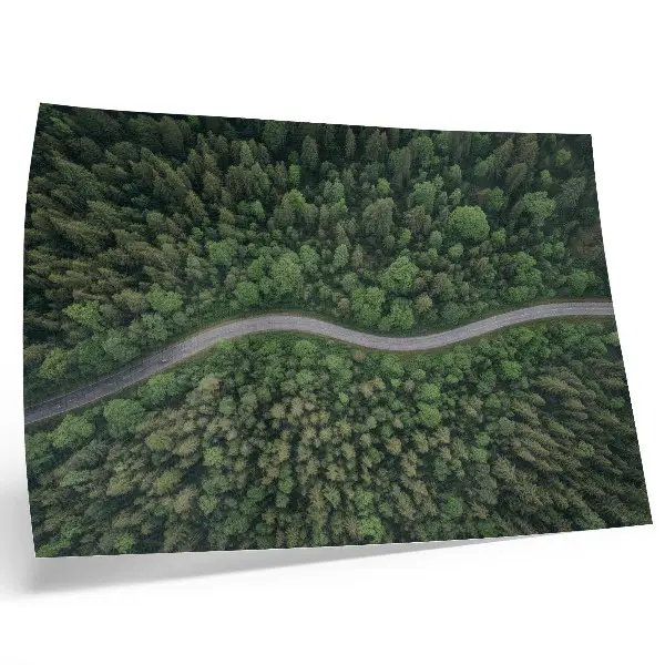 Poster featuring a peaceful green forest serpentine road