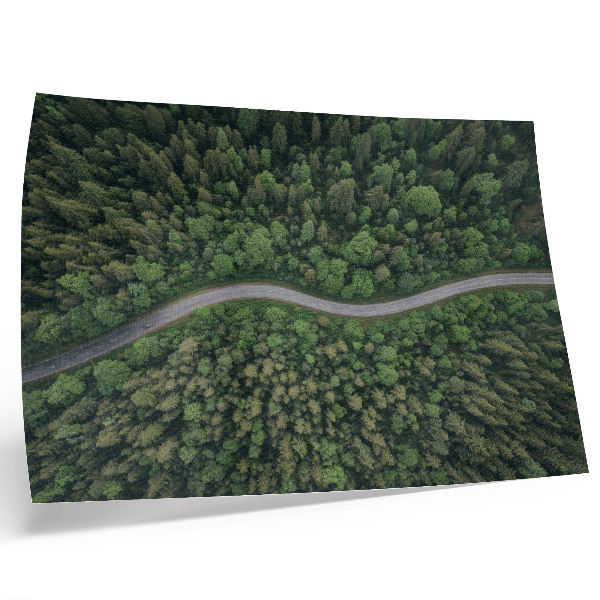 Poster Green forest serpentine road peaceful atmosphere