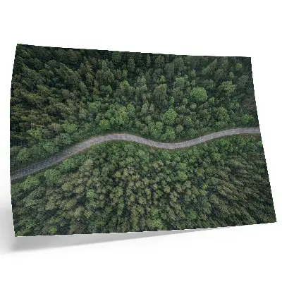Poster featuring a peaceful green forest serpentine road