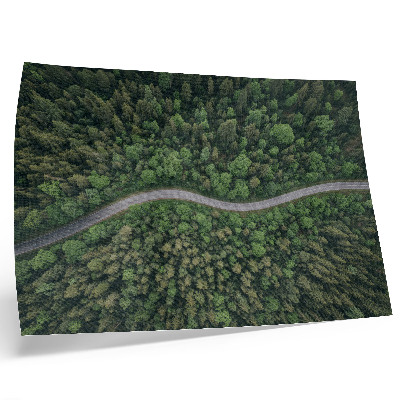 Poster Green forest serpentine road peaceful atmosphere
