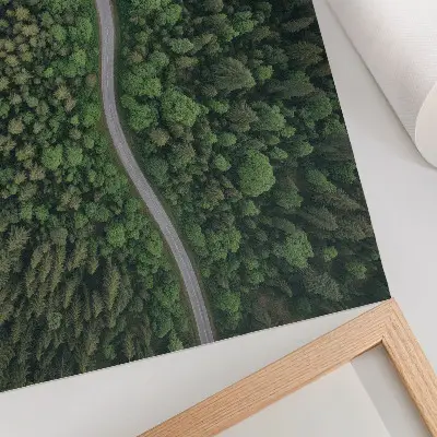 Poster featuring a peaceful green forest serpentine road