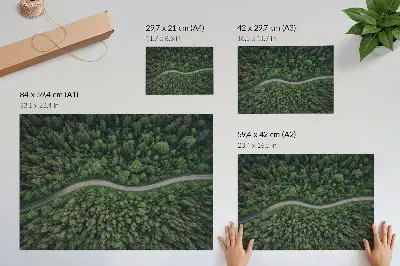 Poster featuring a peaceful green forest serpentine road