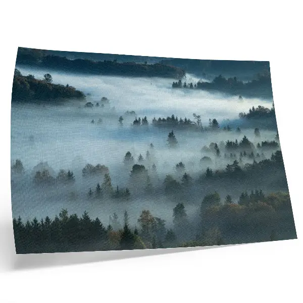 Decorative canvas print green trees in the fog with a peaceful atmosphere and subdued colors